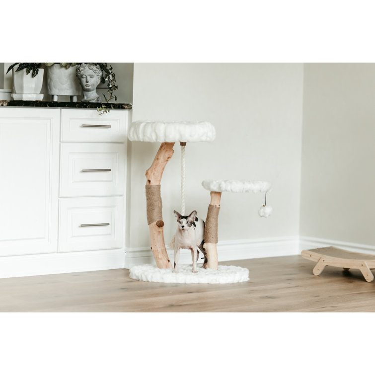 Tucker Murphy Pet™ Sechrist Cat Tree Wayfair.ca